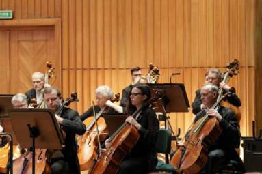 grupa muzyków grających na wiolonczelach