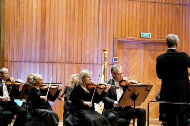 grupa muzyków grających na skrzypcach, dyrygent stoi tyłem