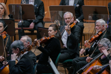 zdjęcie sekcji altówek grających na estradzie