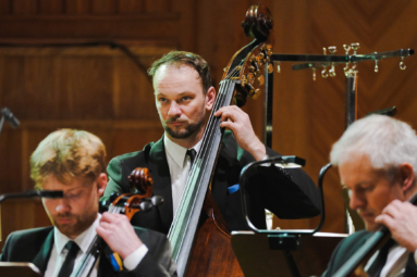 zdjęcie mężczyzny z ciemnym zarostem, grającego na konrabasie