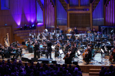 zdjęcie Orchestry4Young na estradzie FP