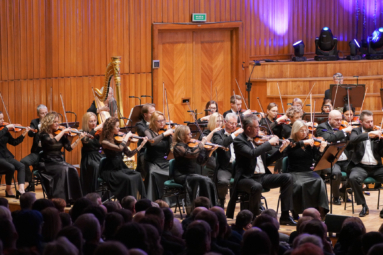 zdjęcie sekcji skrzypiec Orkiestry Symfonicznej FP