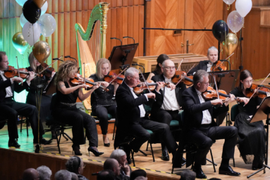 zdjęcie sekcji skrzypiec I