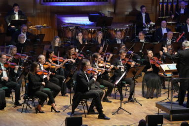 muzycy orkiestry symfonicznej na estradzie filharmonii podczas koncertu