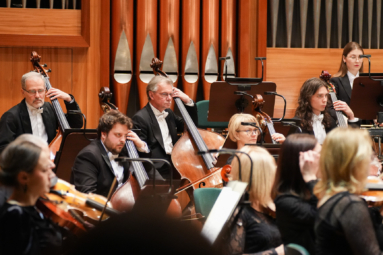 zdjęcie kontrabasistów orkiestry symfonicznej