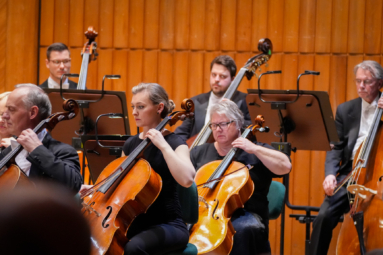 wiolonczeliści orkiestry symfonicznej FP podczas koncertu, grający na swoich instrumentach