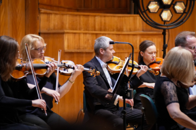skrzypkowie orkiestry symfonicznej skupieni na grze