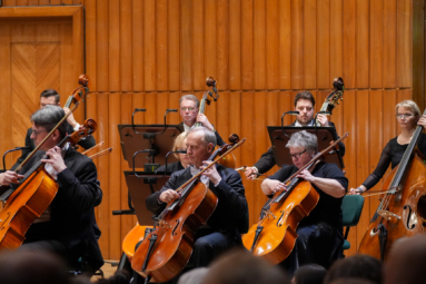muzycy orkiestrowi grający na wiolonczelach