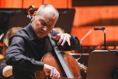 zdjęcie łysego mężczyzny w średnim wieku skupionego na grze na wiolonczeli