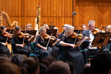 Pierwszy rząd pierwszych skrzypiec orkiestry symfonicznej skupionych na grze