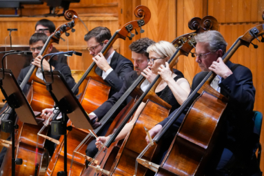 kontrabasiści Orkiestry Symfonicznej skupieni na grze