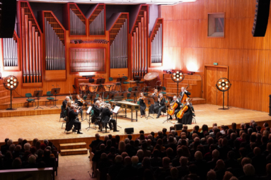 zdjęcie orkiestry kameralnej podczas koncertu