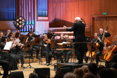 orkiestra kameralna grająca w skupieniu koncert