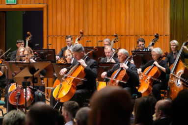wiolonczeliści orkiestry symfonicznej FP skupieni podczas koncertu