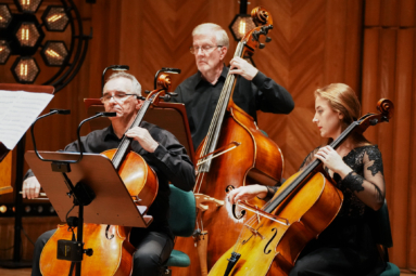 wiolonczeliści i kontrabasista orkiestry kameralnej capella bydgostiensis wpatrzeni w pulpity z nutami, grający na instrumentach